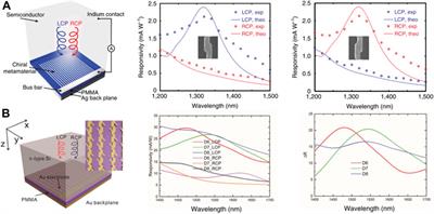 Circularly Polarized Photodetectors Based on Chiral Materials: A Review